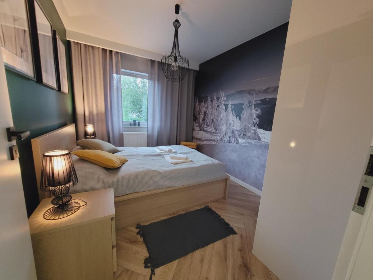 Apartament Wislanskie Skije المظهر الخارجي الصورة