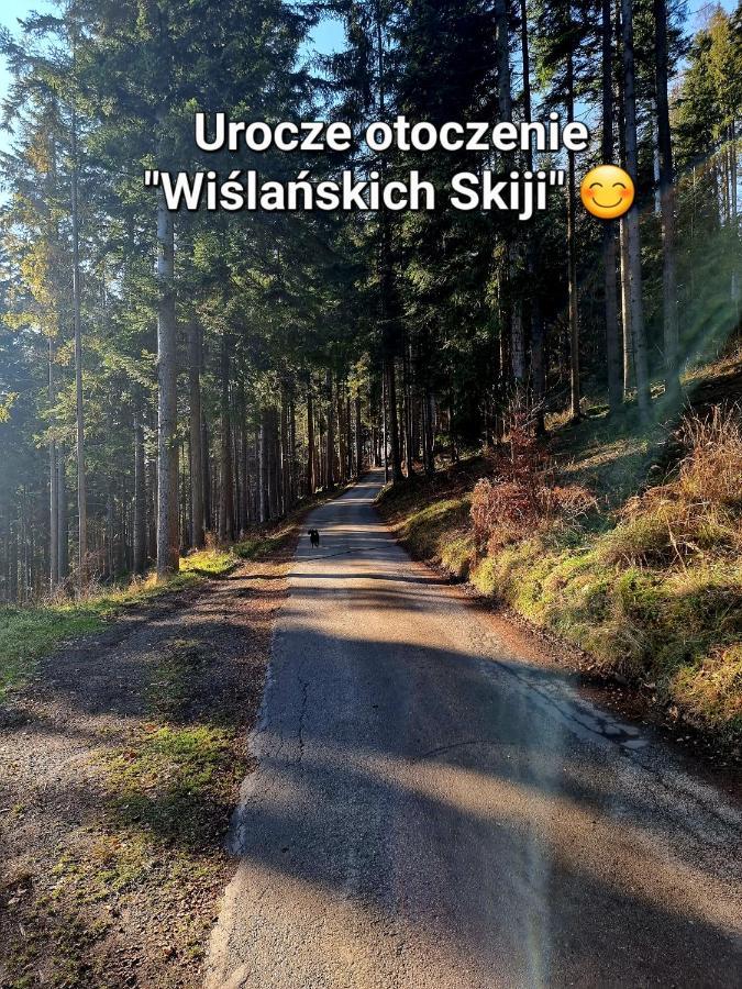 Apartament Wislanskie Skije المظهر الخارجي الصورة
